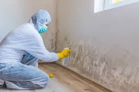 Dallastown, PA Mold Inspection Company