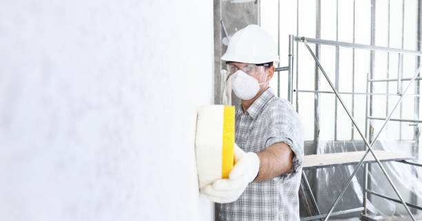 Best Mold Damage Restoration  in Dallastown, PA