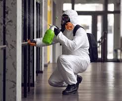 Best Basement Mold Removal  in Dallastown, PA